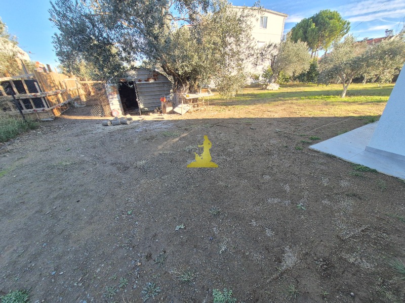 Büyü999